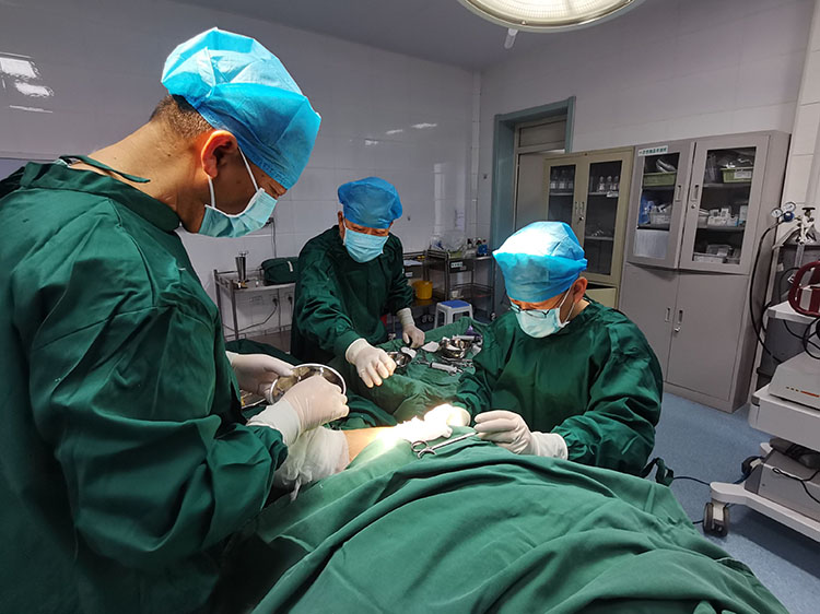 首页- 平博pinnacle888公司官网