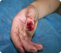 首页- 平博pinnacle888公司官网