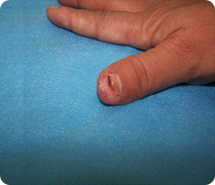 首页- 平博pinnacle888公司官网