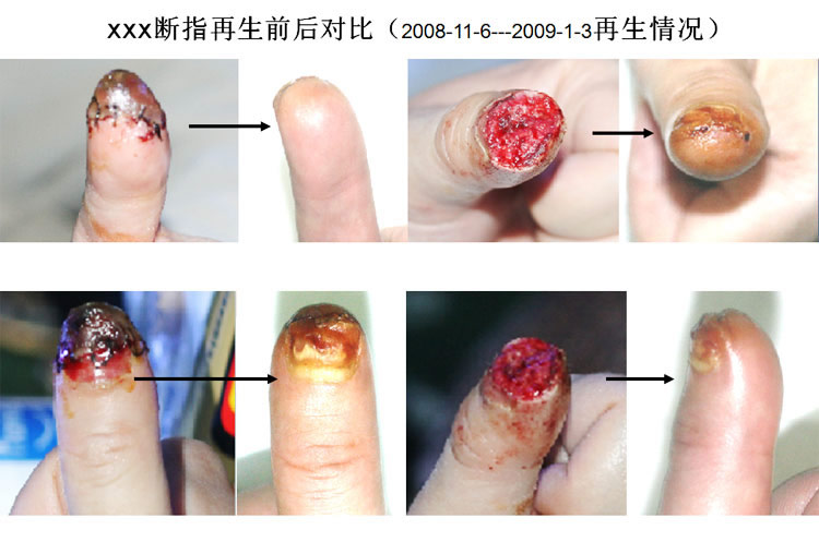 首页- 平博pinnacle888公司官网