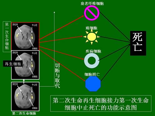 首页- 平博pinnacle888公司官网