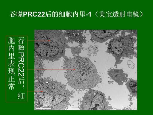 首页- 平博pinnacle888公司官网