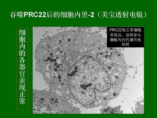首页- 平博pinnacle888公司官网