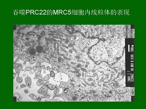首页- 平博pinnacle888公司官网