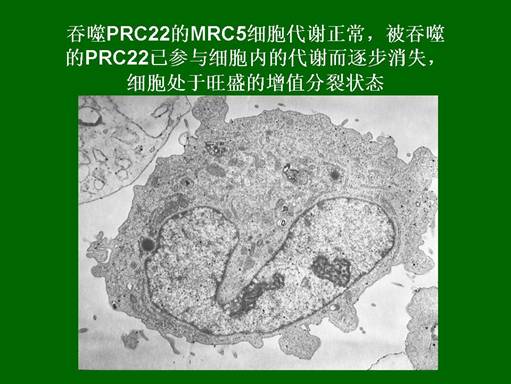 首页- 平博pinnacle888公司官网