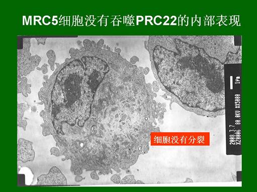 首页- 平博pinnacle888公司官网
