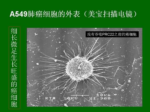 首页- 平博pinnacle888公司官网