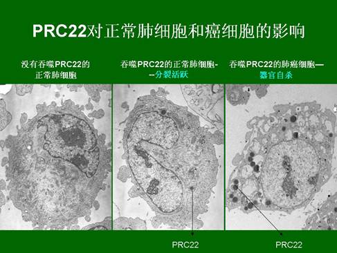 首页- 平博pinnacle888公司官网