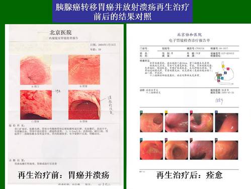 首页- 平博pinnacle888公司官网