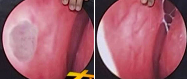 首页- 平博pinnacle888公司官网