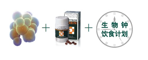 首页- 平博pinnacle888公司官网