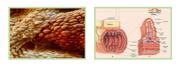 首页- 平博pinnacle888公司官网