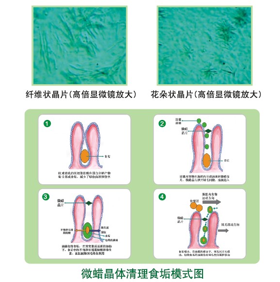 首页- 平博pinnacle888公司官网