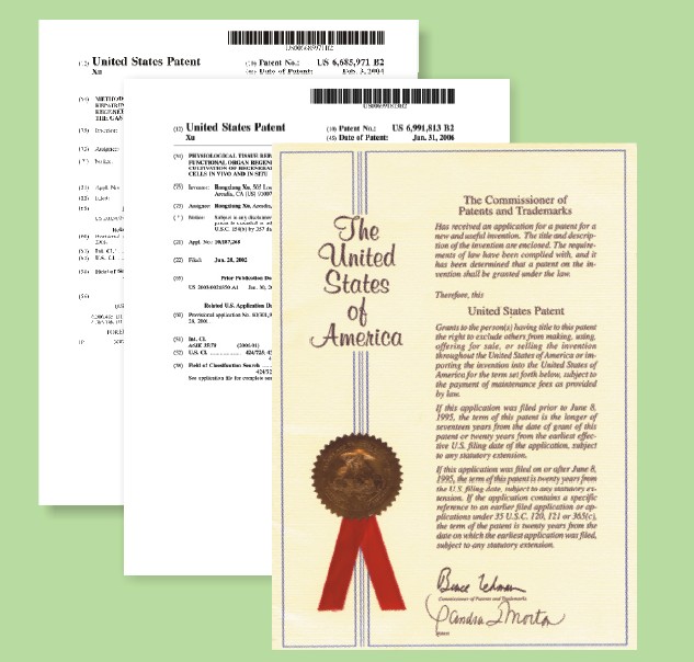 首页- 平博pinnacle888公司官网