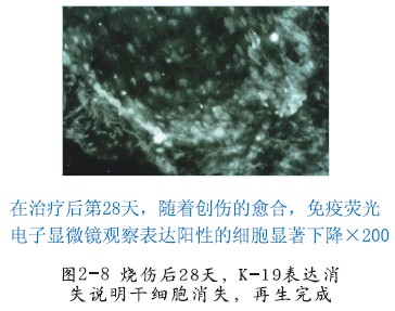 首页- 平博pinnacle888公司官网