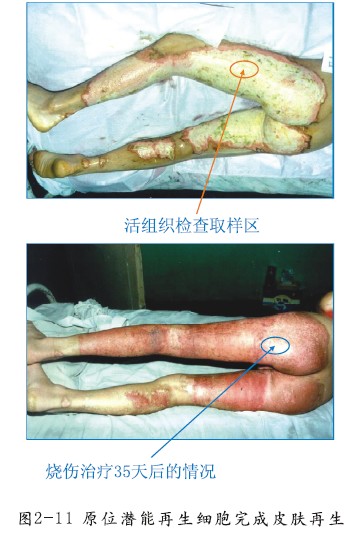 首页- 平博pinnacle888公司官网