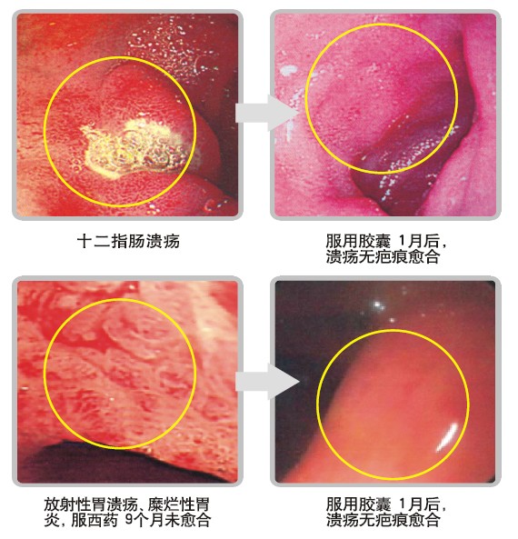 首页- 平博pinnacle888公司官网