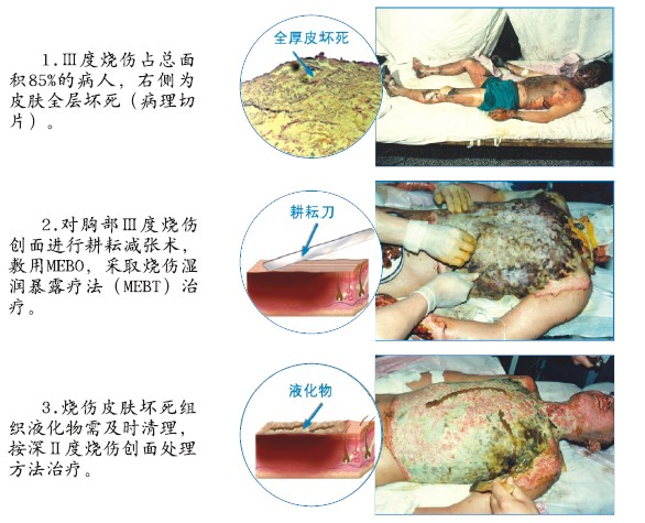 首页- 平博pinnacle888公司官网