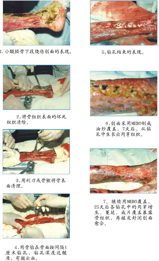 首页- 平博pinnacle888公司官网