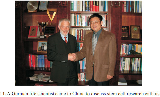 首页- 平博pinnacle888公司官网