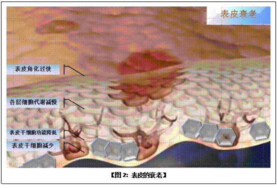 首页- 平博pinnacle888公司官网