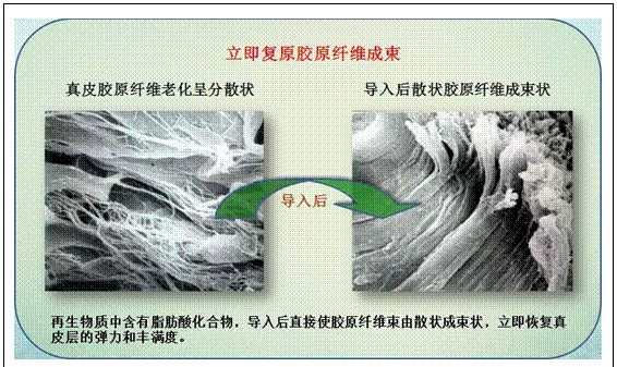 首页- 平博pinnacle888公司官网