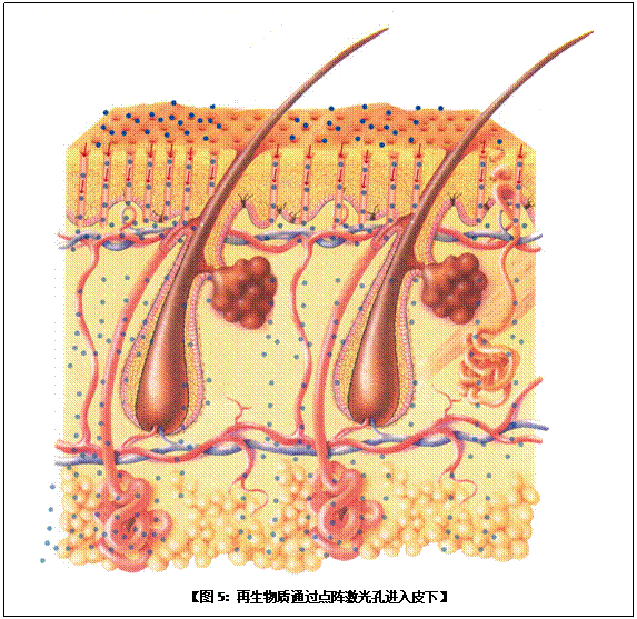 首页- 平博pinnacle888公司官网