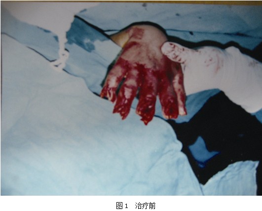 首页- 平博pinnacle888公司官网