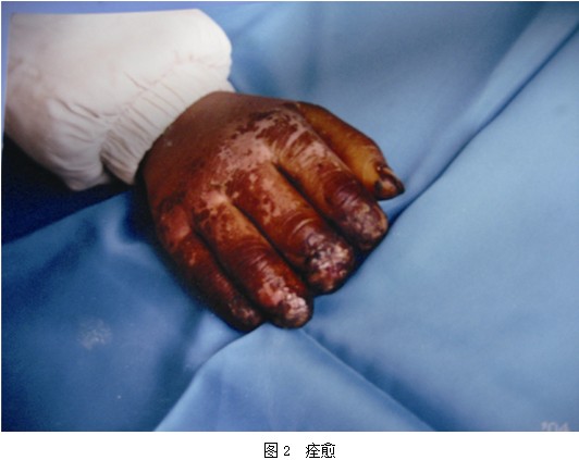 首页- 平博pinnacle888公司官网