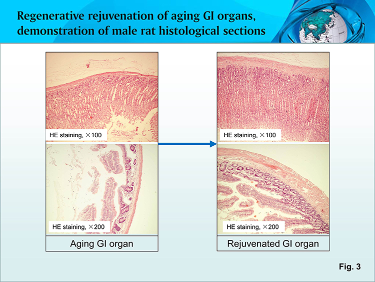 首页- 平博pinnacle888公司官网