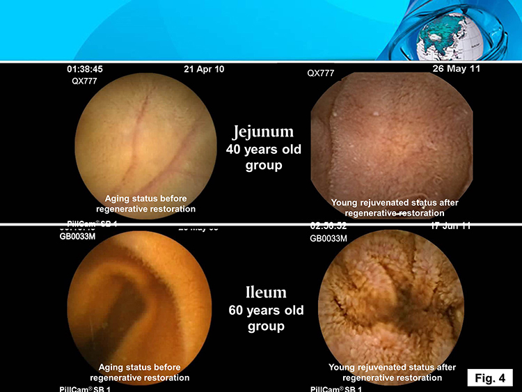 首页- 平博pinnacle888公司官网