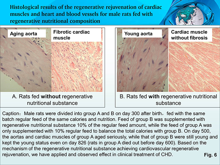 首页- 平博pinnacle888公司官网