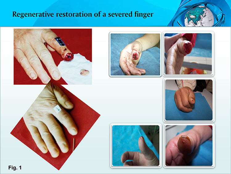 首页- 平博pinnacle888公司官网