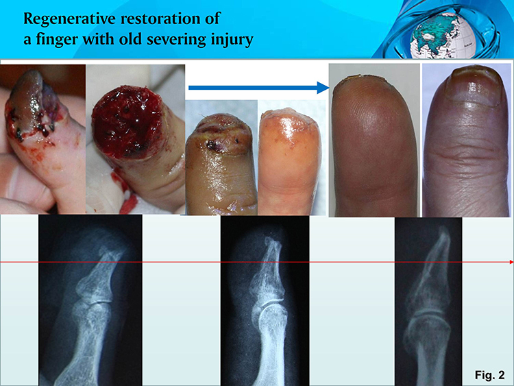首页- 平博pinnacle888公司官网