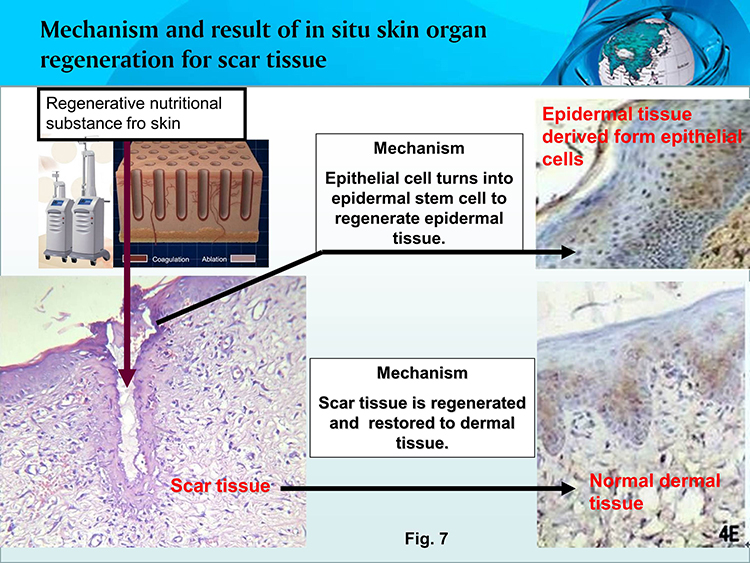 首页- 平博pinnacle888公司官网