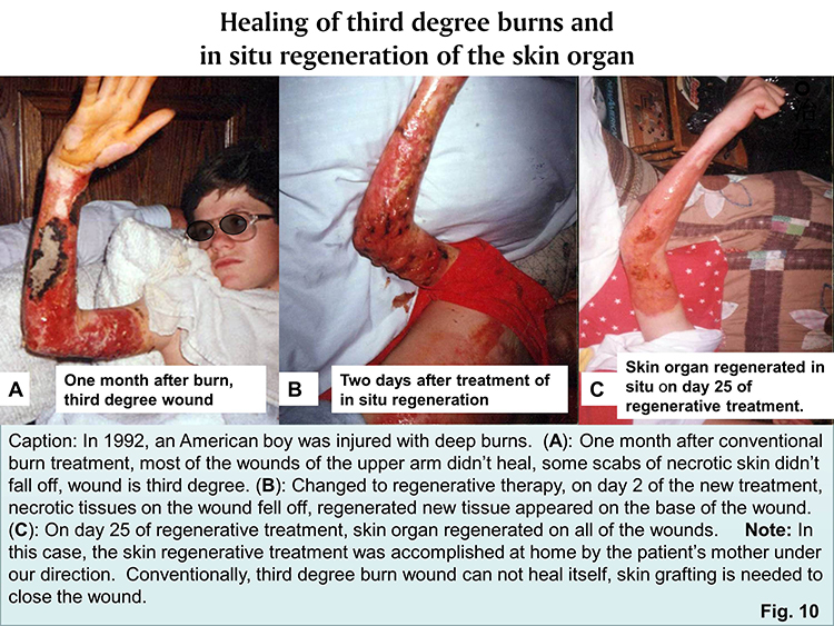 首页- 平博pinnacle888公司官网