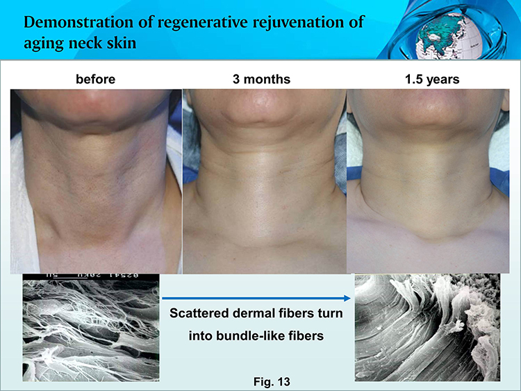 首页- 平博pinnacle888公司官网