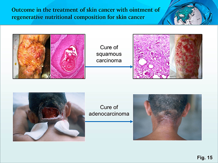 首页- 平博pinnacle888公司官网