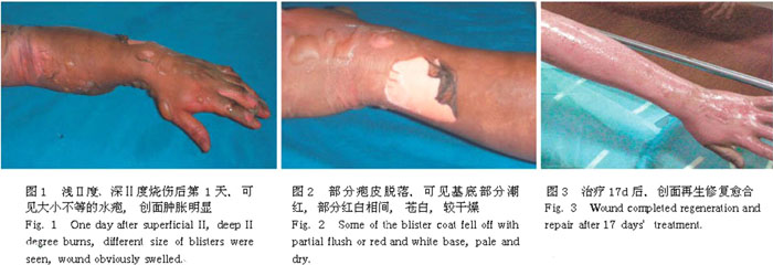 首页- 平博pinnacle888公司官网