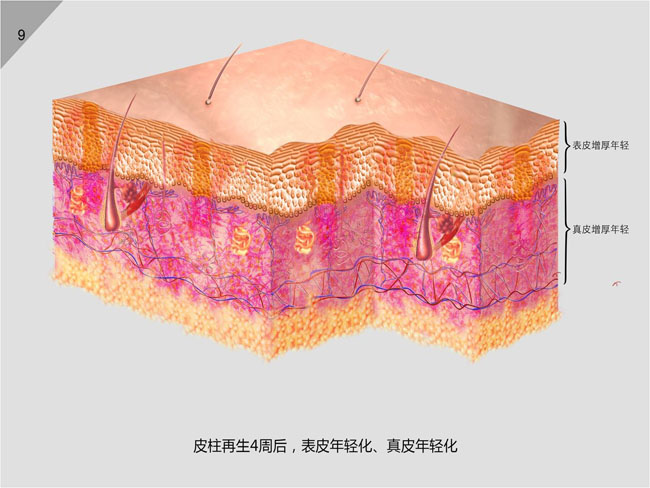 首页- 平博pinnacle888公司官网
