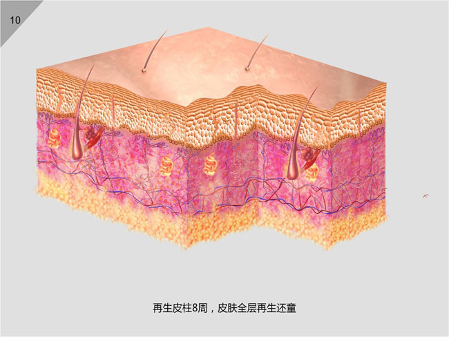 首页- 平博pinnacle888公司官网