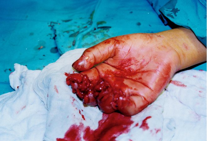 首页- 平博pinnacle888公司官网