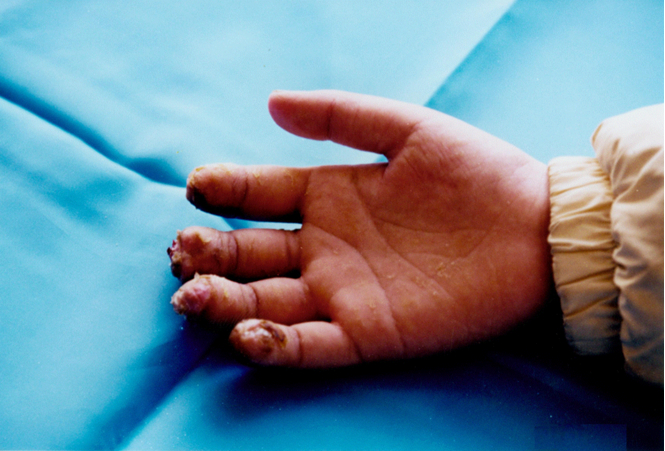 首页- 平博pinnacle888公司官网