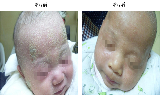 首页- 平博pinnacle888公司官网