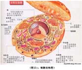首页- 平博pinnacle888公司官网